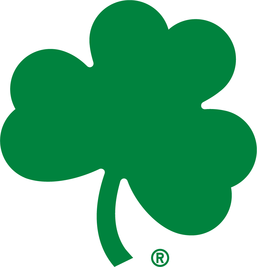 Notre Dame Fighting Irish 2015-Pres Secondary Logo v3 DIY iron on transfer (heat transfer)